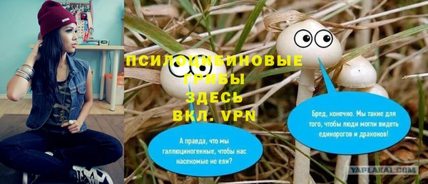 гашик Волоколамск