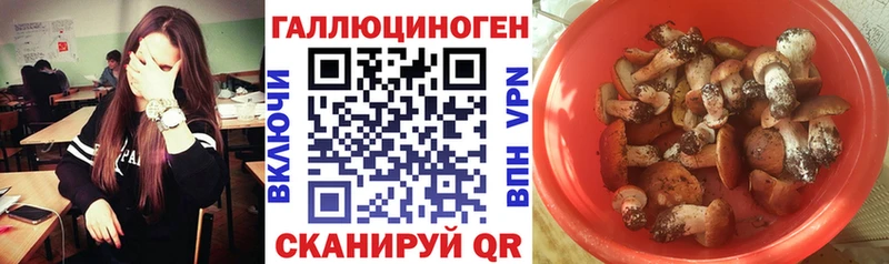 Галлюциногенные грибы Magic Shrooms  blacksprut рабочий сайт  Верхняя Пышма 